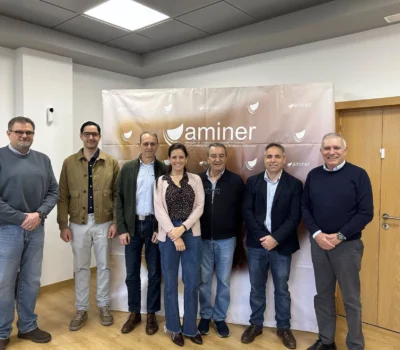 Aminer crea el primer ‘hub’ nacional para consolidar la competitividad del sector minero metálico